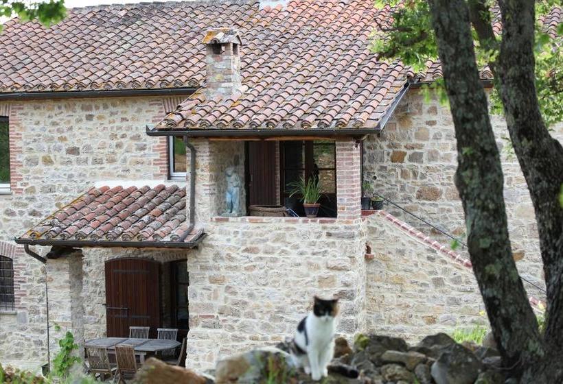 Bed and Breakfast Podere Del Buongustaio Montegabbione