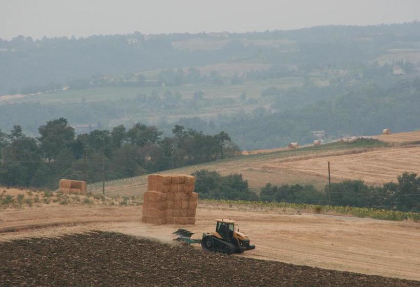 Bed and Breakfast Podere Del Buongustaio  | Montegabbione | Terni | Italia 12