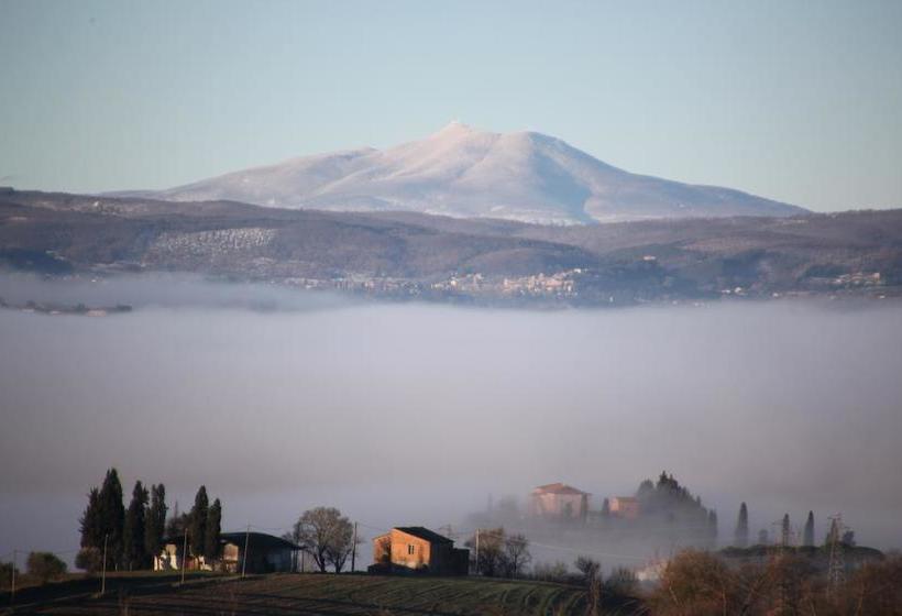 Bed and Breakfast Podere Del Buongustaio  | Montegabbione | Terni | Italia 16