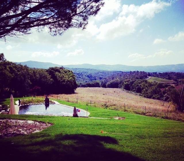 Bed and Breakfast Podere Del Buongustaio  | Montegabbione | Terni | Italia 18