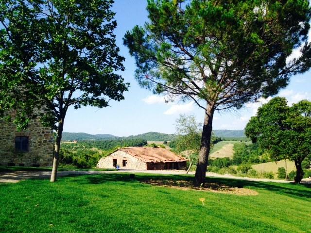 Bed and Breakfast Podere Del Buongustaio  | Montegabbione | Terni | Italia 19