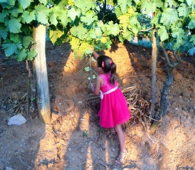 Bed and Breakfast Podere Del Buongustaio  | Montegabbione | Terni | Italia 20