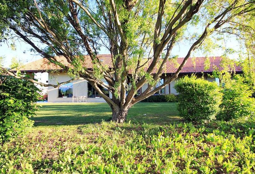 Bed And Breakfast Gea  | Cuneo | Cuneo | Italia 1