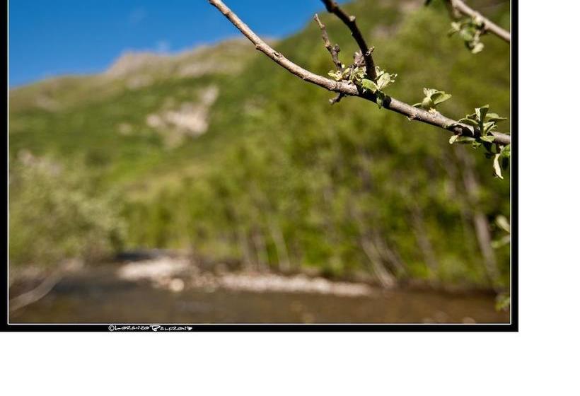 Hotel La Jolie Bergere  | La Salle | Aosta | Italien 10