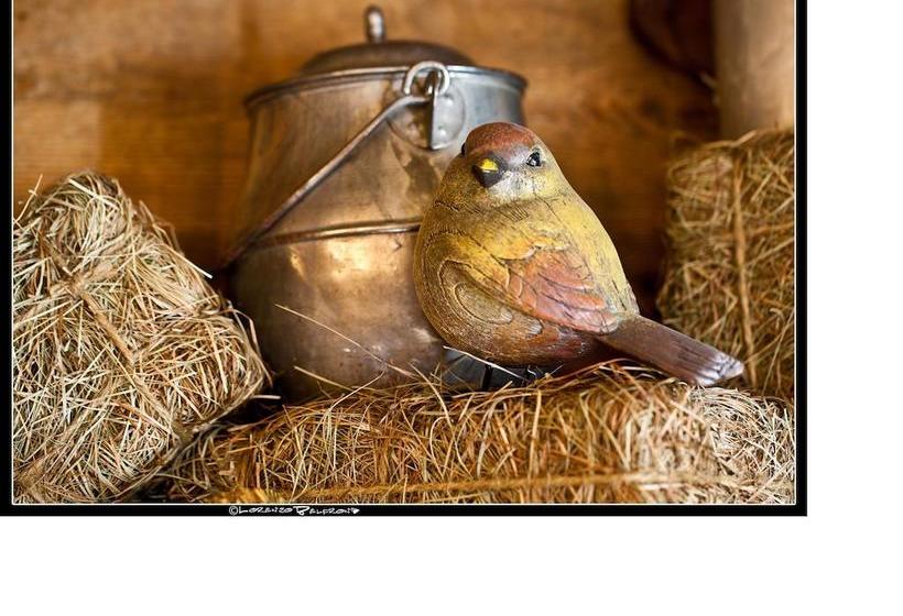 Hotel La Jolie Bergere  | La Salle | Aosta | Italien 17