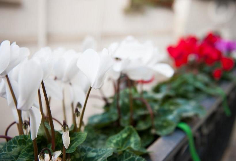 B&b Bari Old Town  | Bari | Bari | Italia 10