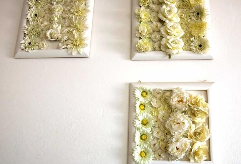 Hotel Heaven  | Rimini | Rimini | Italia 13