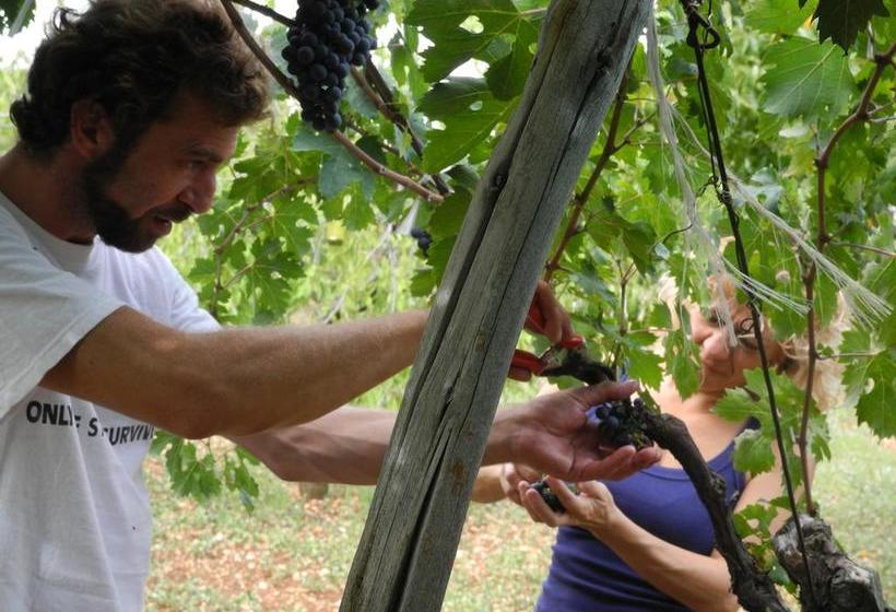 Hotel Silva  | Alberobello | Bari | Italia 16