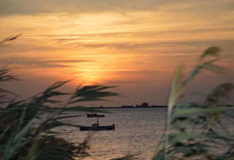 Bed and Breakfast Il Fenicottero  | Marsala | Trapani | Italia 14