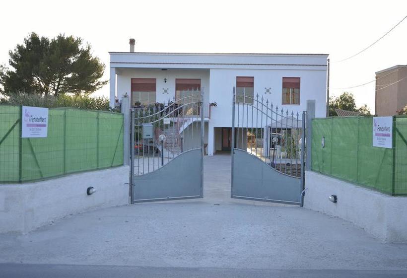 Bed and Breakfast Il Fenicottero  | Marsala | Trapani | Italia 4