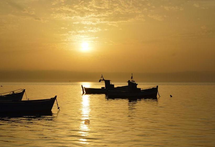 Bed and Breakfast Il Fenicottero  | Marsala | Trapani | Italia 7