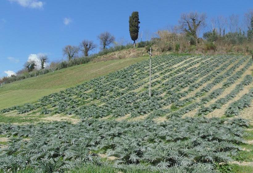 Bed and Breakfast Bigotti  | Fano | Pesaro e Urbino | Italia 10