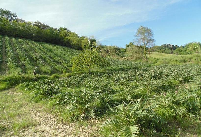 Bed and Breakfast Bigotti  | Fano | Pesaro e Urbino | Italia 19