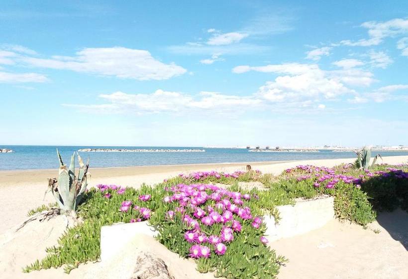 Bed and Breakfast Bigotti  | Fano | Pesaro e Urbino | Italia 6