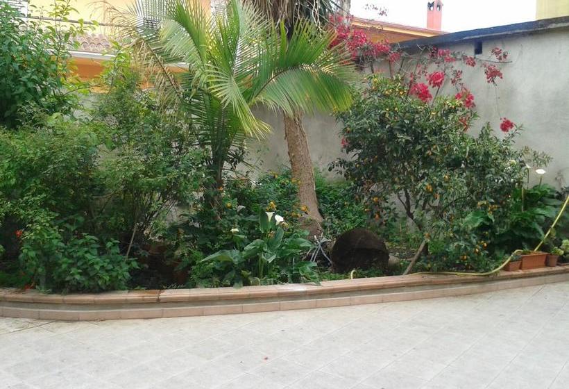 Bed And Breakfast Le Petunie  | Bari Sardo | Cerdeña | Italia 16