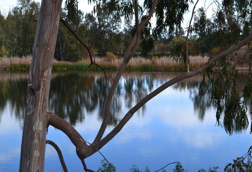 Bed And Breakfast Le Petunie  | Bari Sardo | Cerdeña | Italia 18