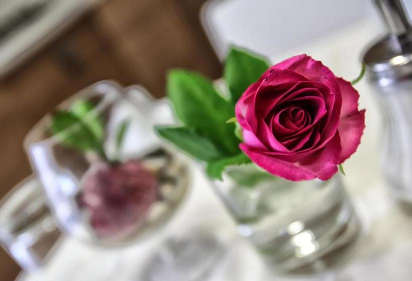 Bed and Breakfast Aleksandr  | Brindisi | Brindisi | Italia 9