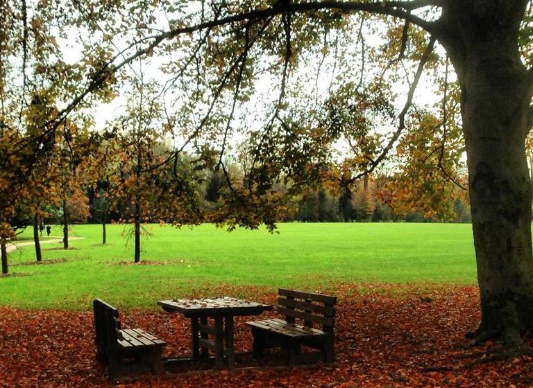 Il Campanile B&b  | Pordenone | Pordenone | Italia 5