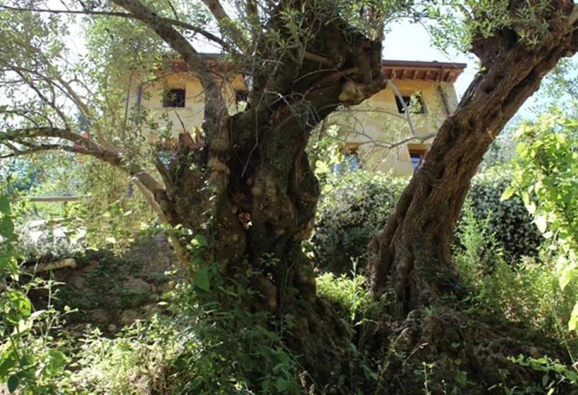 Almora B&b  | Pietrasanta | Lucca | Italie 11