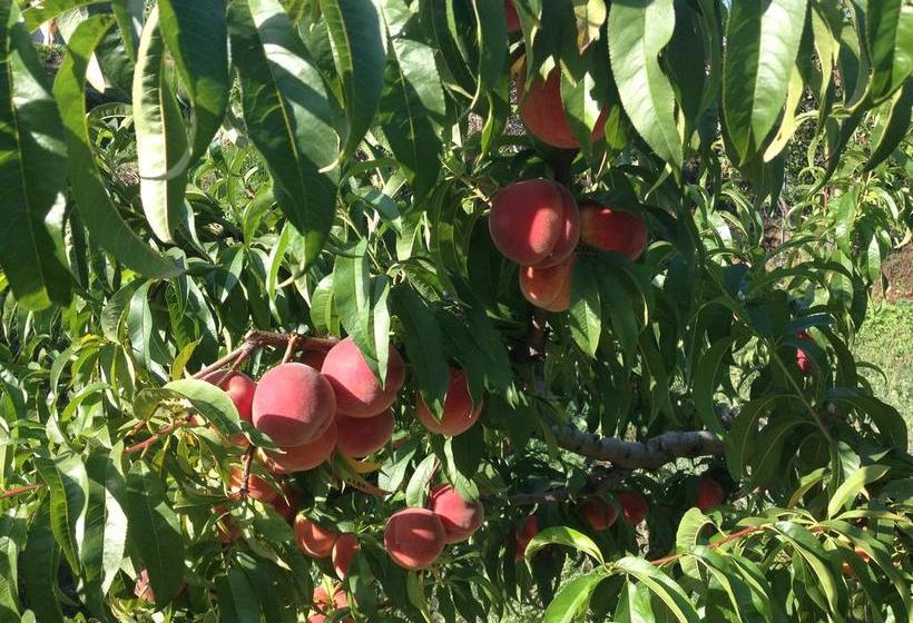 B&b La Casa Di Menny  | Moneglia | Genova | Italia 5