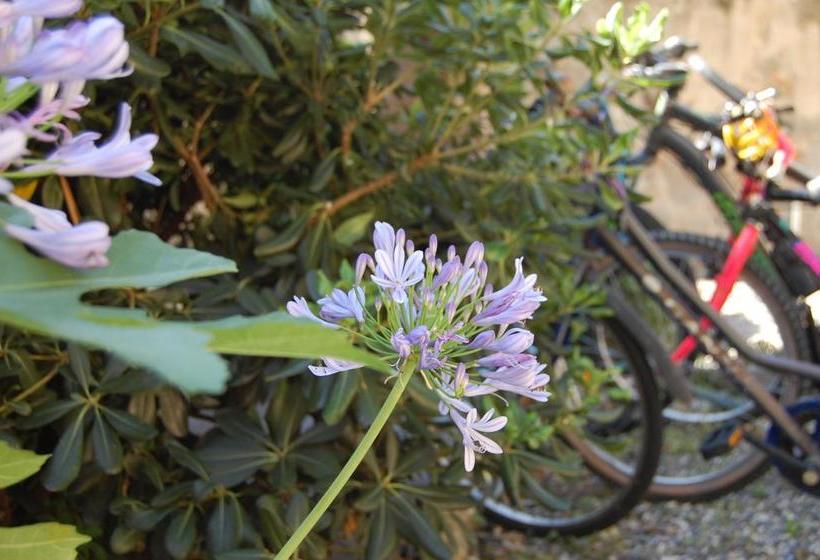 Bed and Breakfast Arena Alfieri  | Livorno | Livorno | Italia 10