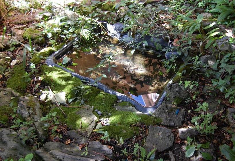 Bed and Breakfast Arena Alfieri  | Livorno | Livorno | Italia 4