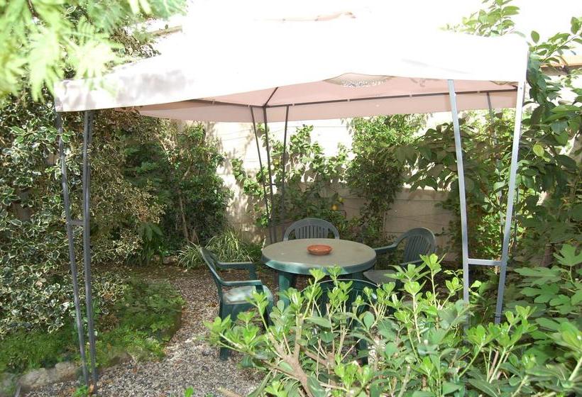 Bed and Breakfast Arena Alfieri  | Livorno | Livorno | Italia 5