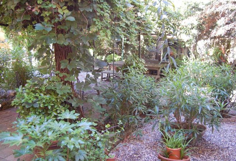 Bed and Breakfast Arena Alfieri  | Livorno | Livorno | Italia 7