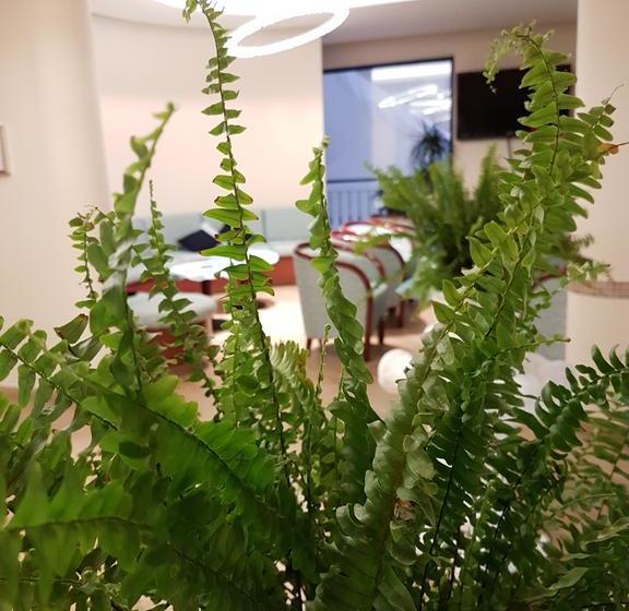 Hotel Tiglio  | Rímini | Rimini | Italia 14