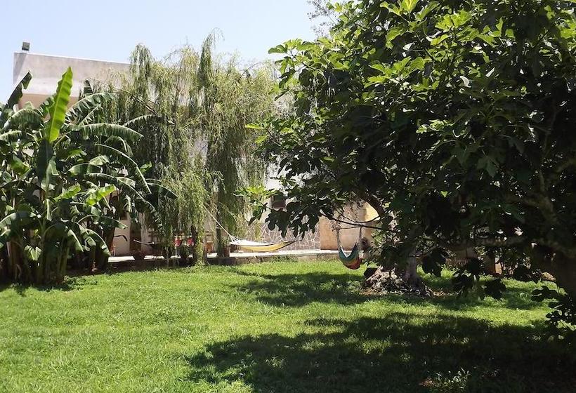 Bed and Breakfast Casa Di Marco  | Sannicola | Lecce | Italia 5