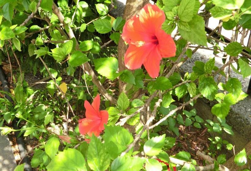 B&b Casa Mia  | Gaggi | Messina | Italy 18