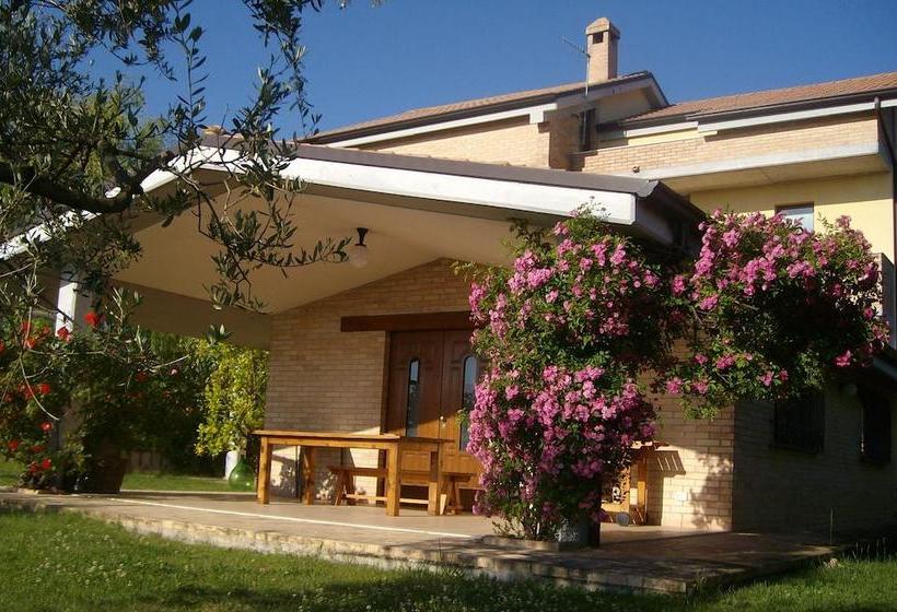 Villa Naira B&b  | Spoltore | Pescara | Italia 3