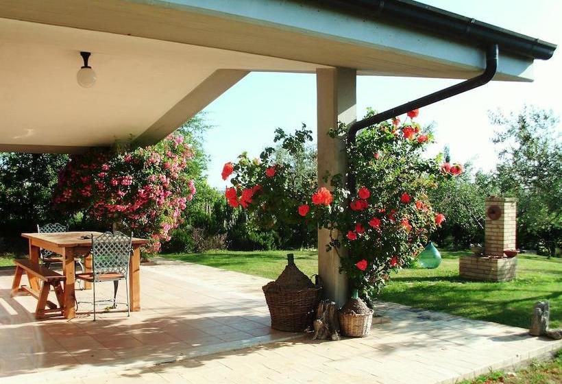 Villa Naira B&b  | Spoltore | Pescara | Italia 5