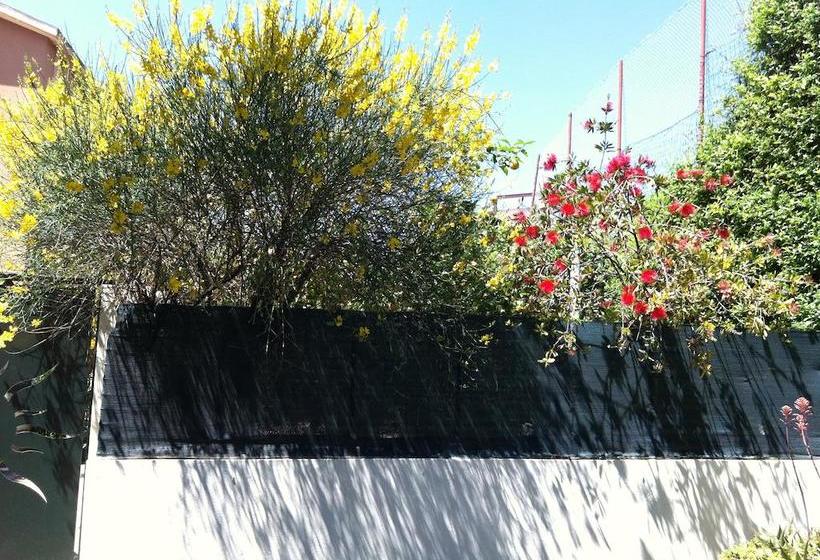 Bed and Breakfast Bramasole  | Quartu Sant'Elena | Sardegna | Italia 20