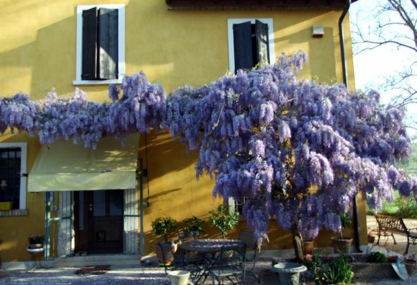 B&b Casacasina  | Monzambano | Mantova | Italia 15