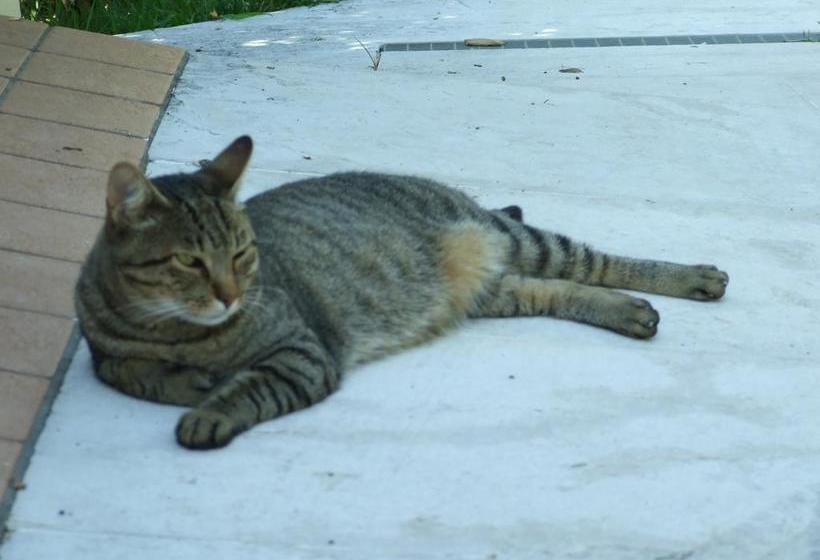 B&b Casacasina  | Monzambano | Mantova | Italia 19