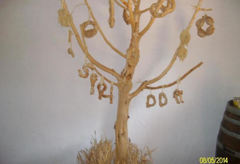 Bed and Breakfast Agriturismo Spridda  | Arzachena | Sardegna | Italia 16