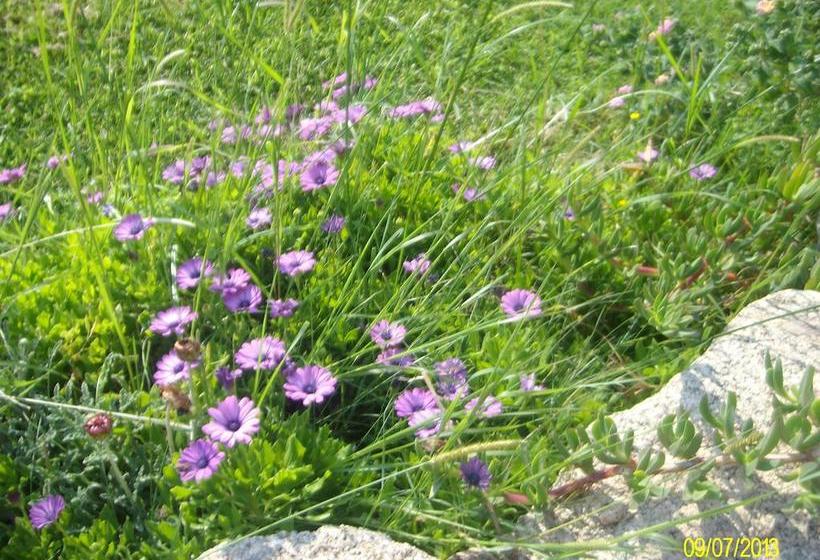 Bed and Breakfast Agriturismo Spridda  | Arzachena | Sardegna | Italia 19