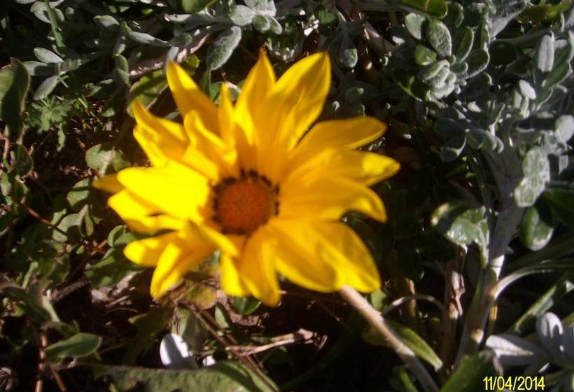 Bed and Breakfast Agriturismo Spridda  | Arzachena | Sardegna | Italia 20