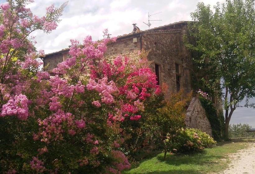 Bed and Breakfast Podere Santo Stefano Paganico