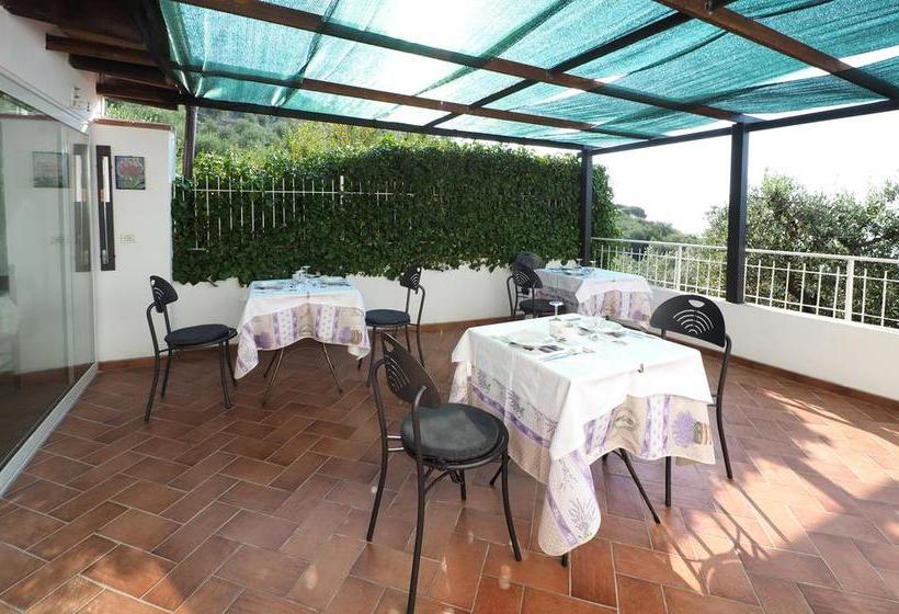 Bed and Breakfast Tra Gli Ulivi  | Pietra Ligure | Savona | Italia 11