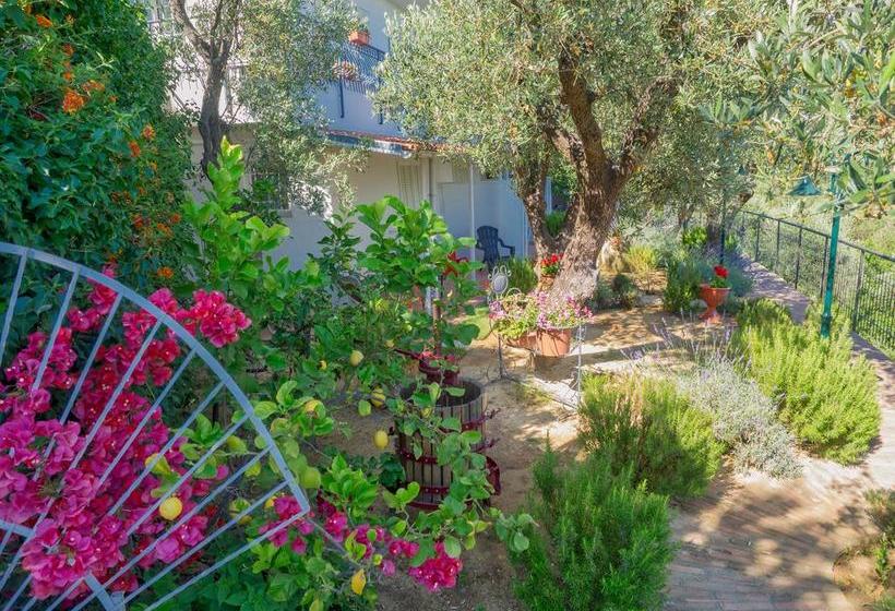 Bed and Breakfast Tra Gli Ulivi  | Pietra Ligure | Savona | Italia 2