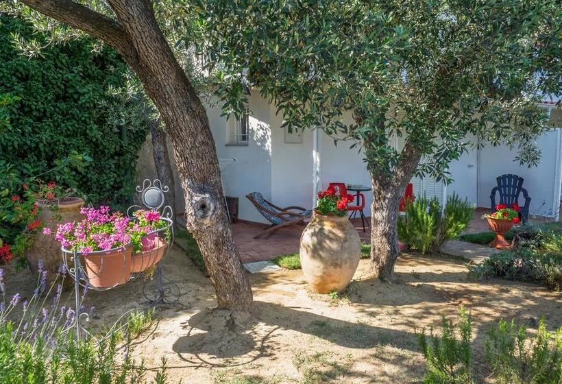 Bed and Breakfast Tra Gli Ulivi  | Pietra Ligure | Savona | Italia 3