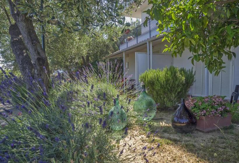 Bed and Breakfast Tra Gli Ulivi  | Pietra Ligure | Savona | Italia 4