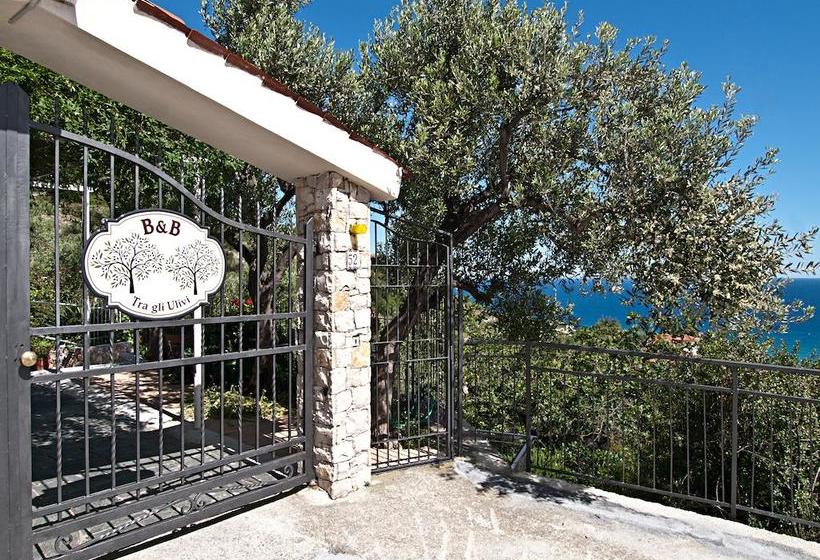 Bed and Breakfast Tra Gli Ulivi  | Pietra Ligure | Savona | Italia 5