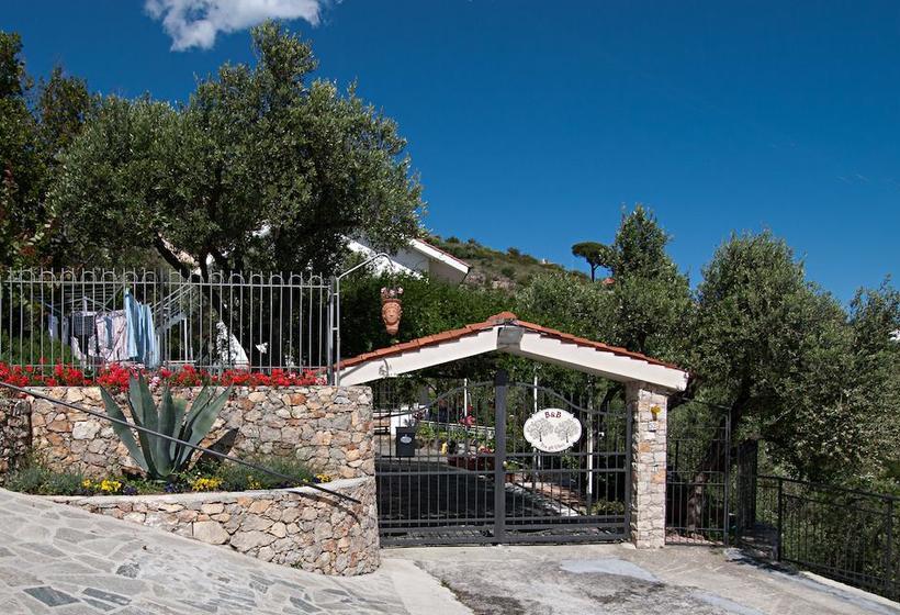 Bed and Breakfast Tra Gli Ulivi  | Pietra Ligure | Savona | Italia 7