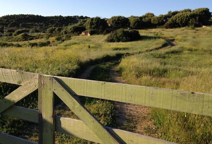 Bed and Breakfast Albero Capovolto  | Golfo Aranci | Sardegna | Italia 1