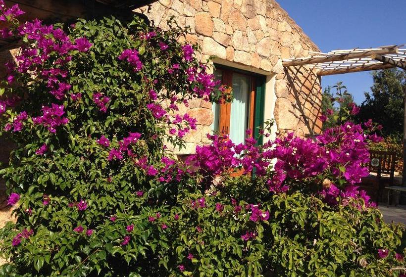 Bed and Breakfast Albero Capovolto  | Golfo Aranci | Sardegna | Italia 12