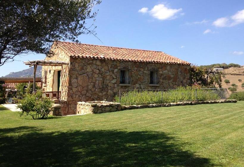 Bed and Breakfast Albero Capovolto  | Golfo Aranci | Sardegna | Italia 15