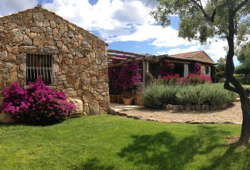 Bed and Breakfast Albero Capovolto  | Golfo Aranci | Sardegna | Italia 2